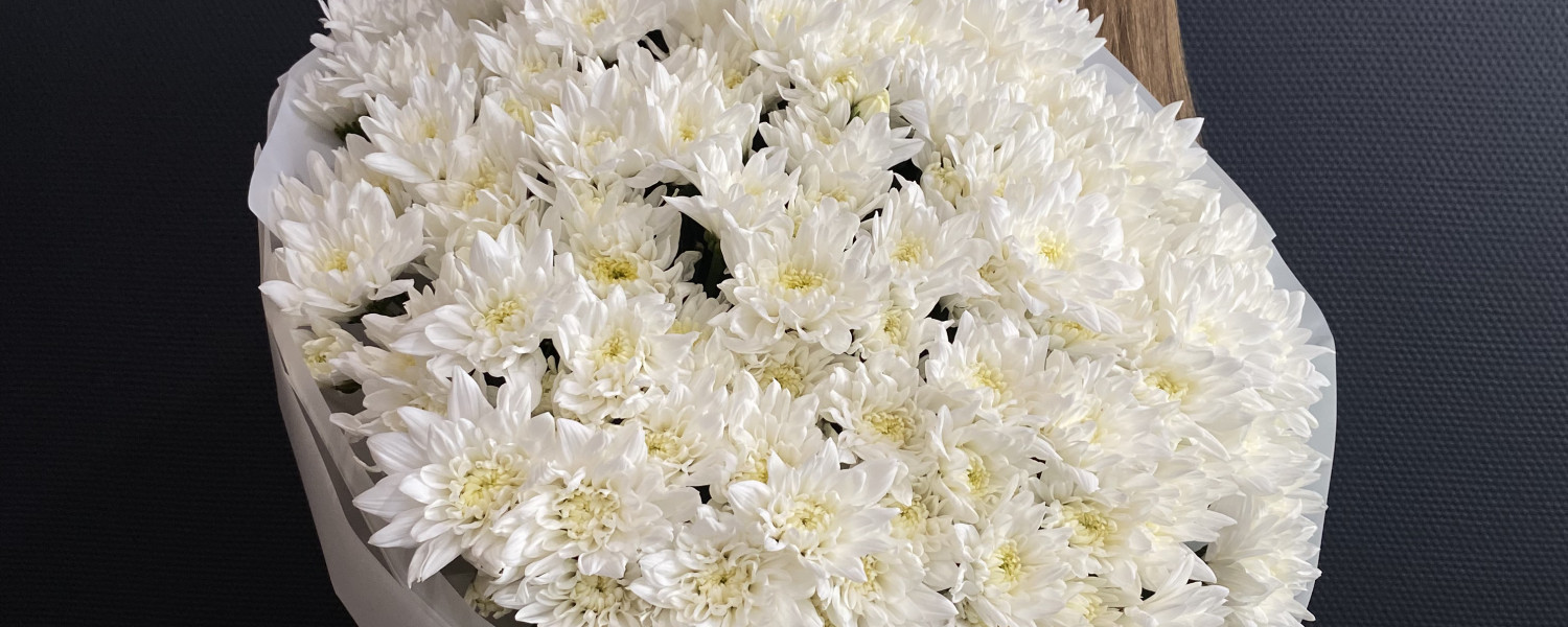 Белоснежная Затея