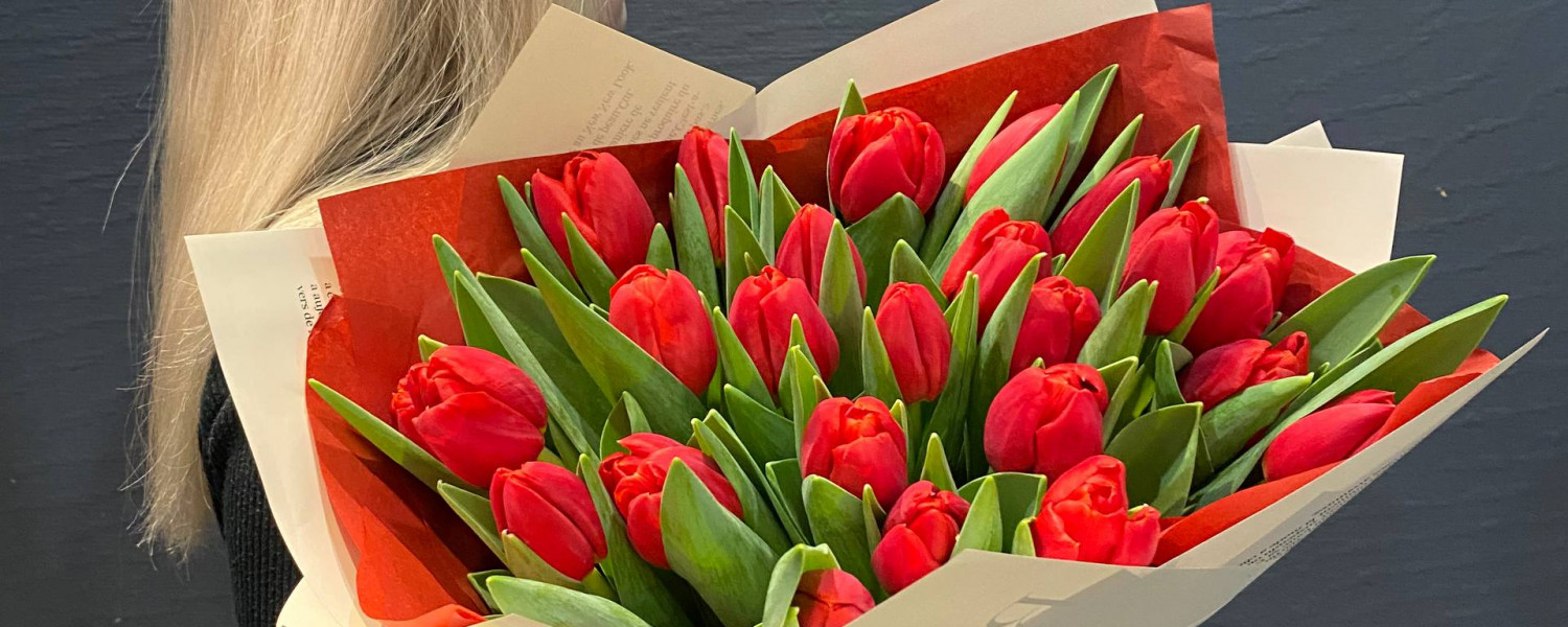 Букет из 25 красных тюльпанов сорта Рэд Стоун(Red Stone)