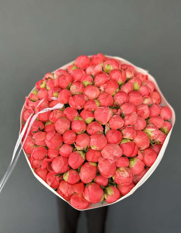 Букет 101 коралловый пион