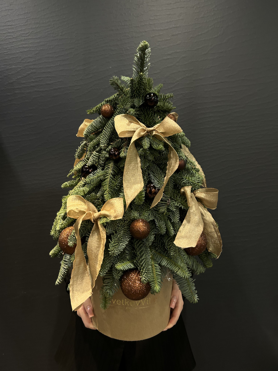 Композиция из Нобилиса "Стильная елочка"