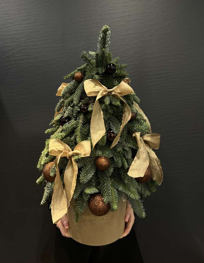 Композиция из Нобилиса "Стильная елочка"