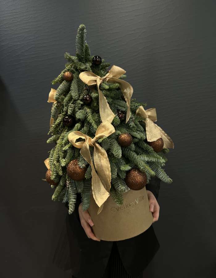 Композиция из Нобилиса "Стильная елочка"