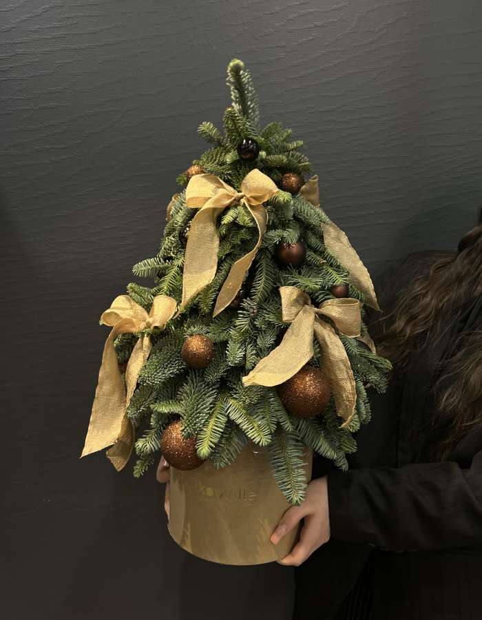 Композиция из Нобилиса "Стильная елочка"