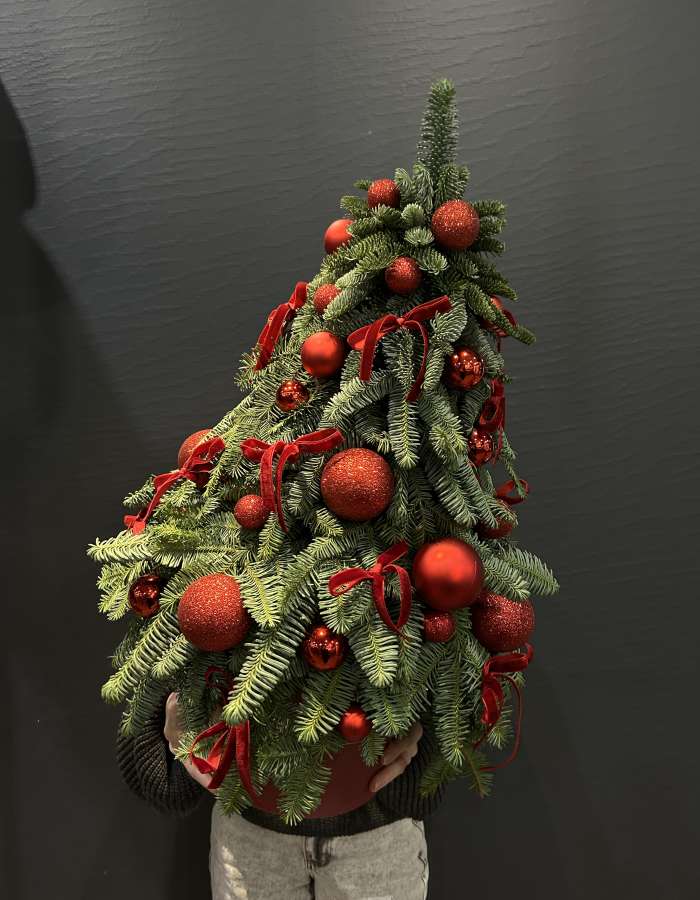 Композиция из нобилиса "Канун рождества"