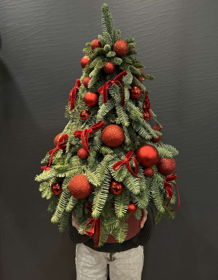 Композиция из нобилиса "Канун рождества"