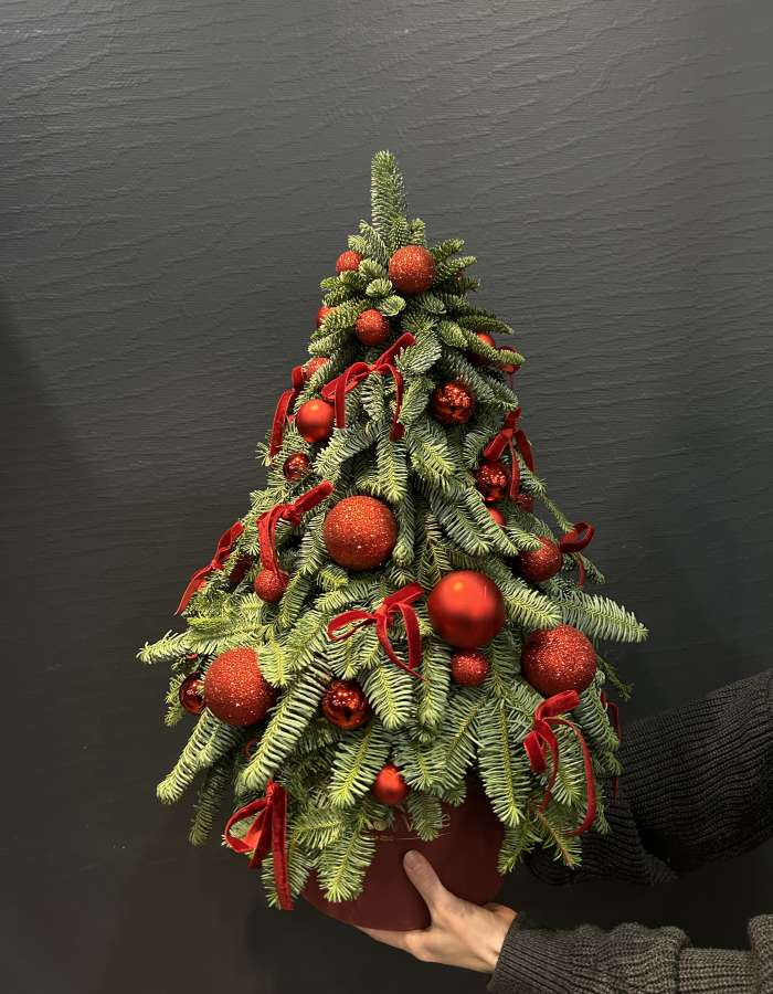 Композиция из нобилиса "Канун рождества"