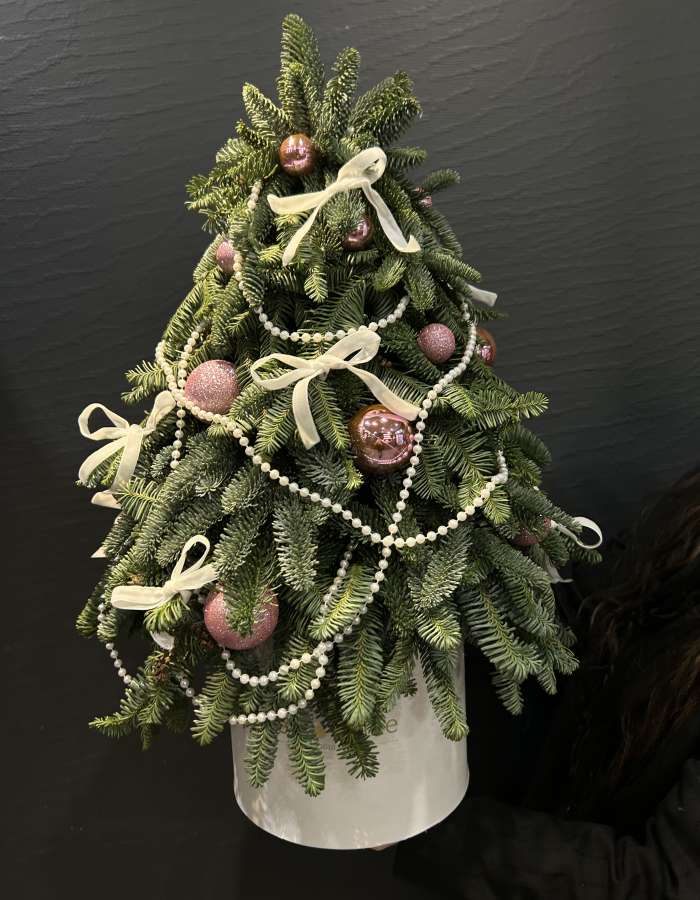 Композиция из Нобилиса  "Новогодняя сказка"