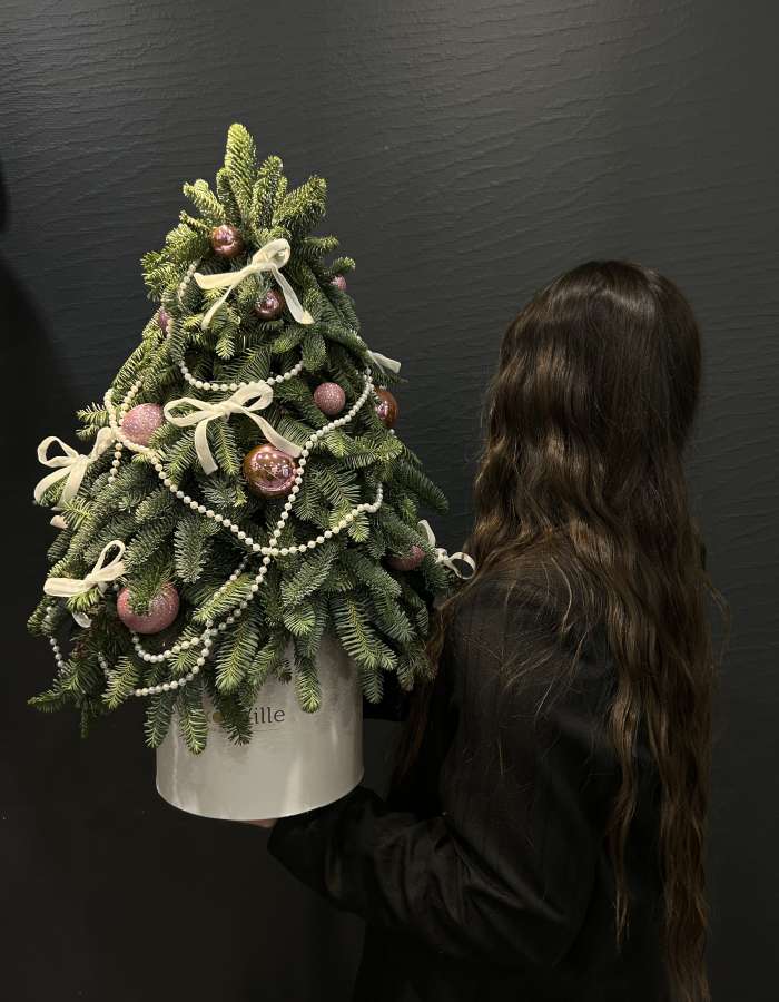 Композиция из Нобилиса  "Новогодняя сказка"