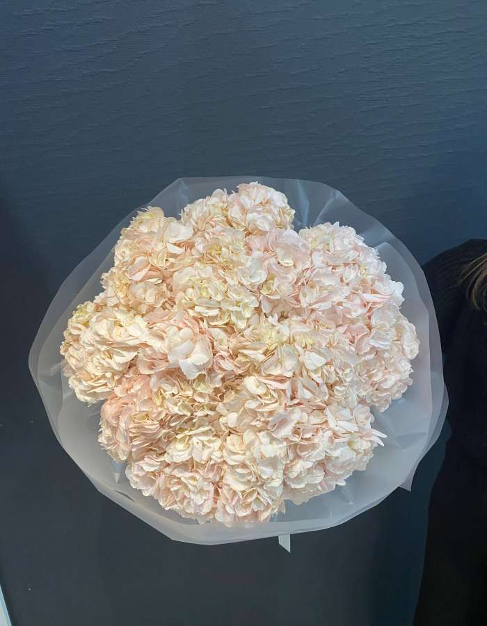 Букет из розовых гортензий "Розовая Мелодия"