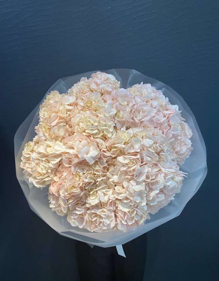 Букет из розовых гортензий "Розовая Мелодия"