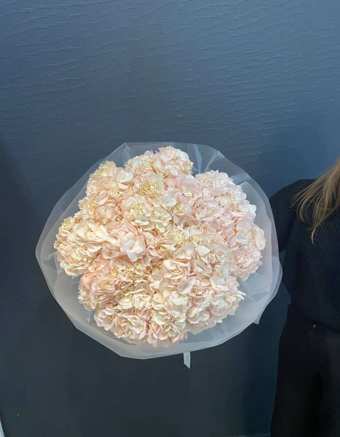 Букет из розовых гортензий "Розовая Мелодия"
