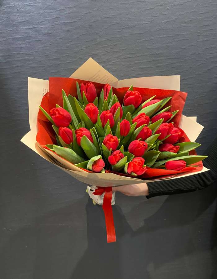 Букет из 25 красных тюльпанов сорта Рэд Стоун(Red Stone)