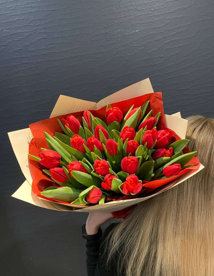 Букет из 25 красных тюльпанов сорта Рэд Стоун(Red Stone)