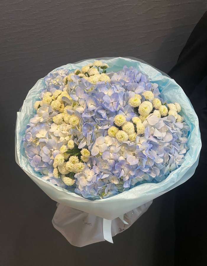 Букет из гортензий и хризантемы сорта Сантини "Голубая Нимфа"