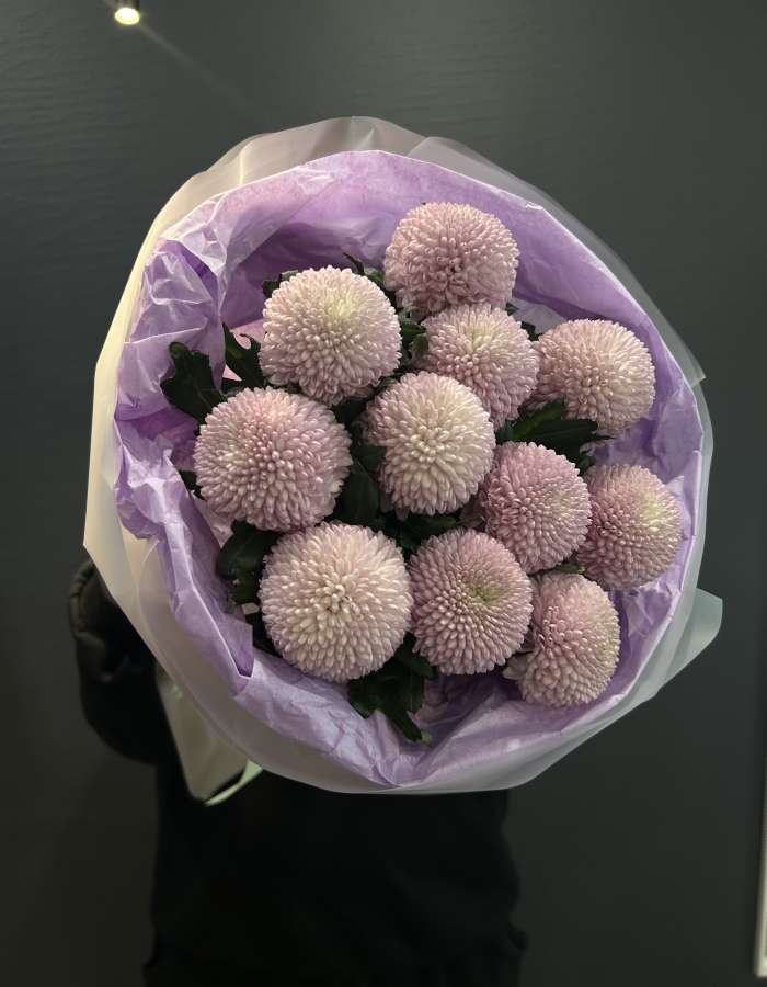 Букет из сиреневых хризантем сорта Момоко "Млечный Путь"
