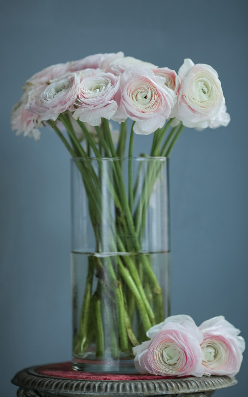 Кризал. Инструкция по  использованию.