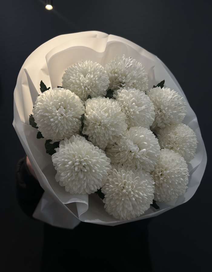 Букет из белых хризантем сорта Момоко "Нежные чувства"