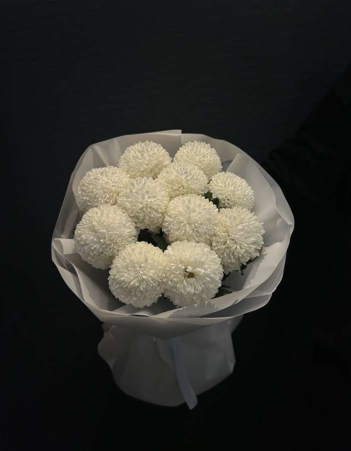 Букет из белых хризантем сорта Момоко "Нежные чувства"